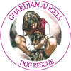 guardian-angels-logo